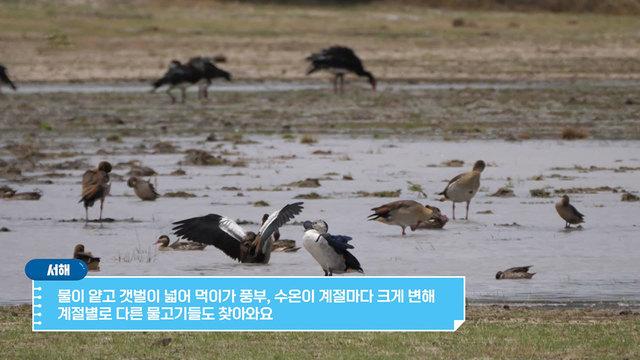 꾸러기 탐구생활