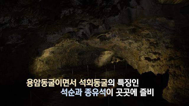 네트워크 현장! 고향이 보인다
