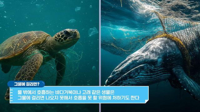 꾸러기 탐구생활