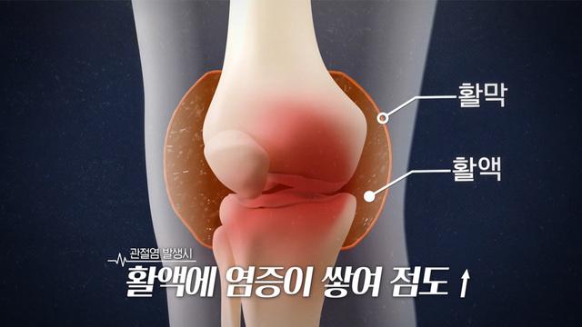 세 개의 시선