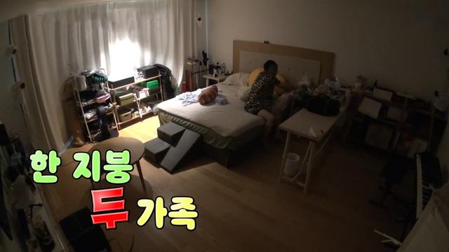 미운 우리 새끼
