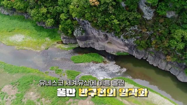 네트워크 현장! 고향이 보인다