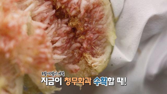 네트워크 현장! 고향이 보인다