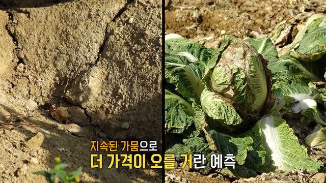 모닝와이드 3부