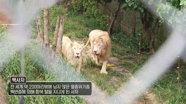 생방송 투데이