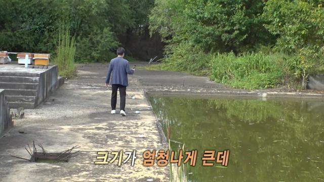 생방송 투데이