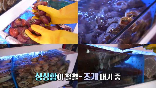 생방송 투데이