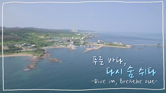 네트워크 현장! 고향이 보인다