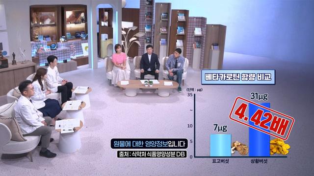 경이로운 도전
