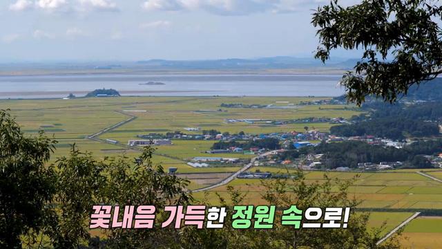생방송 투데이