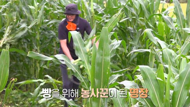 생활의 달인