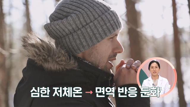 암을  이기는 힘, 면역력