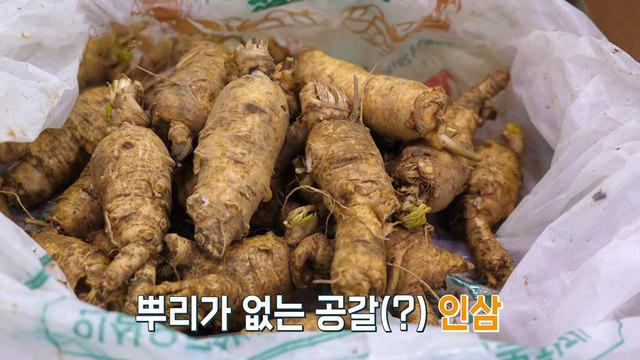 잘 먹고 잘 사는 법 플러스
