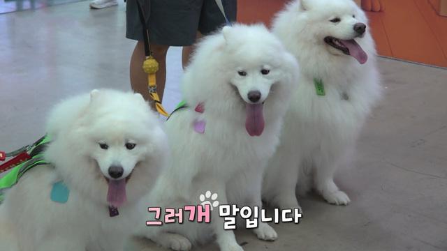 생방송 투데이