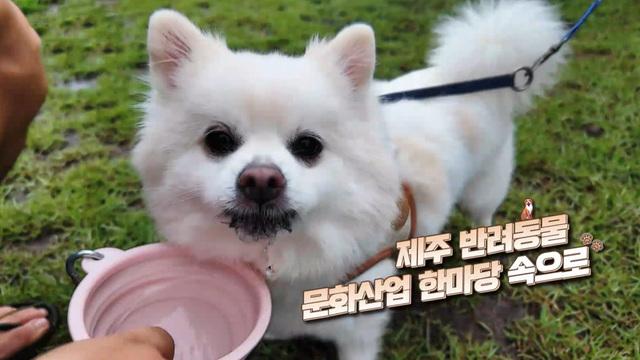 네트워크 현장! 고향이 보인다