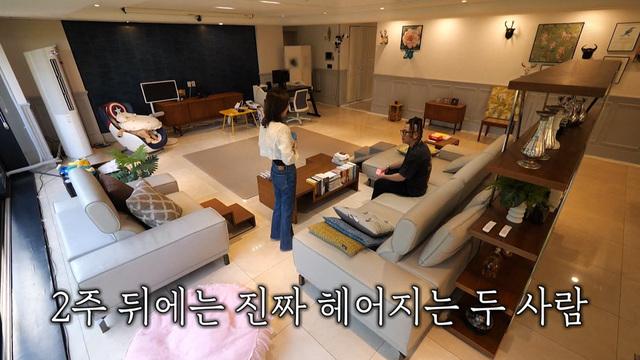 미운 우리 새끼