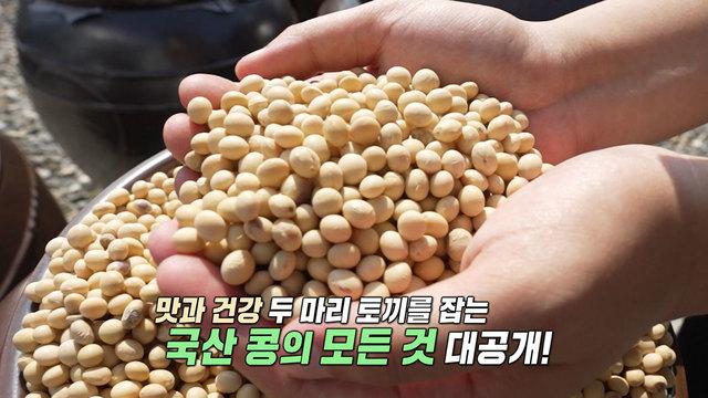 모닝와이드 3부