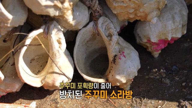 생방송 투데이