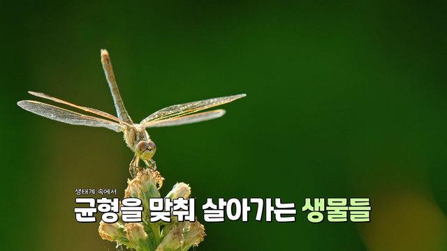 꾸러기 탐구생활