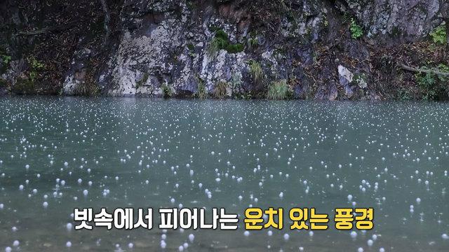 생방송 투데이