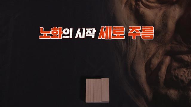 세 개의 시선