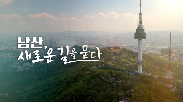 일요 특선 다큐멘터리