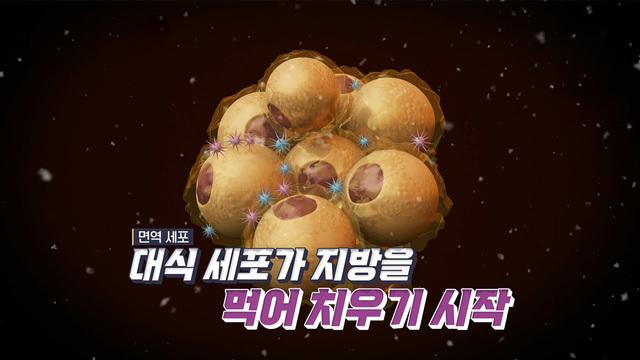 히든카드