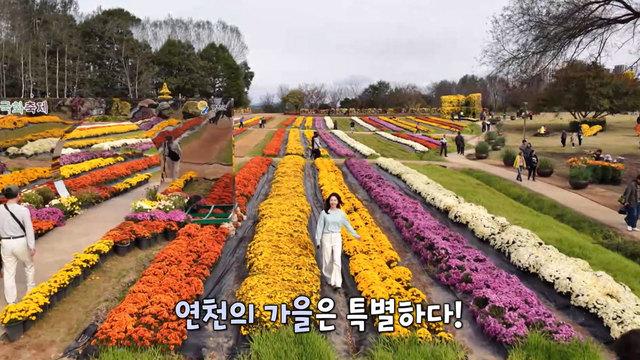 연천, 가을에 물들다