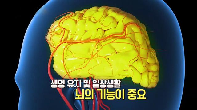 치매의 골든타임