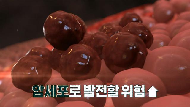 닥터 필생(生)기