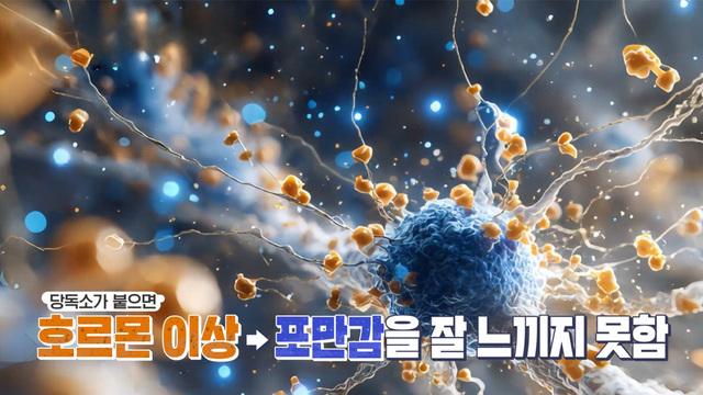 ＂지방은 태우고! 몸은 가볍게! 바디 리셋 법칙＂ - 파비플로라 편 - 