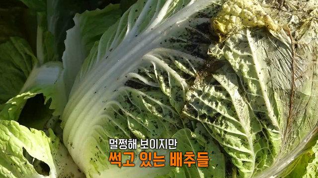 “숨도 못 쉬어” 공장 지하서 유독물질 펑!