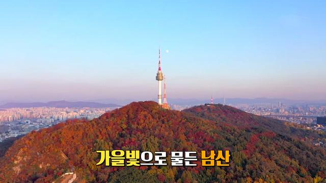 가을빛으로 물든 남산 숲길