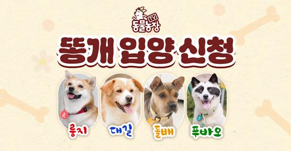 [동물농장] 똥개 입양 신청