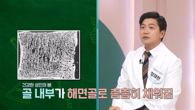 더  건강한 스쿨