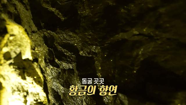 자연과 역사가 살아있는 광명 