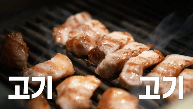 약이 되는 고기