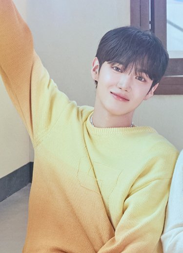 사계의 봄 홈페이지