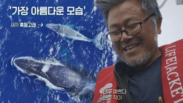 ‘8K 촬영감독’ 임완호, 새끼 혹등고래 등장에 감격!