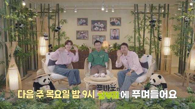 [11월 30일 예고] ‘푸바오의 부모’ 러바오×아이바오 만나러 간 강철원 사육사★