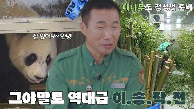 강철원 사육사, 아이바오와 러바오를 데려오기 위한 역대급 이송작전♨