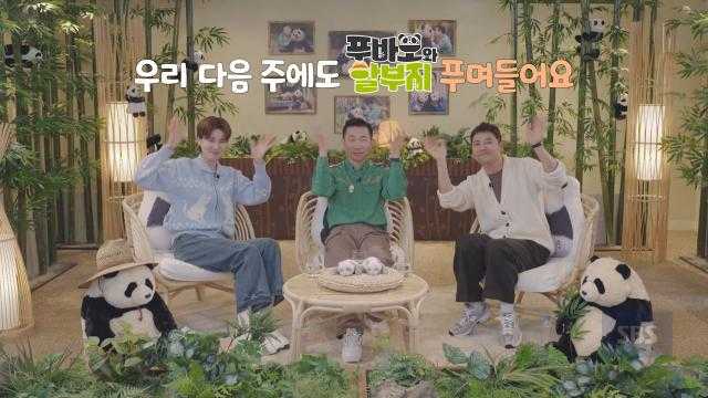 [12월 7일 예고] 강철원 사육사, 위기의 ‘푸바오×아이바오×러바오’ 가족을 위한 푸버지의 노력♨