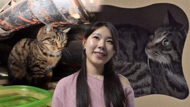 천장 위에서 만난 인연, 고양이 임시 보호 결정!