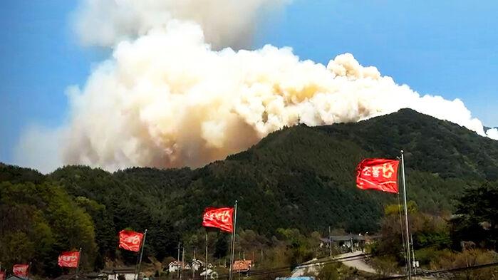 "삼겹살 먹다 '화르륵'"?…또 대형 산불 번질 뻔 '아찔'