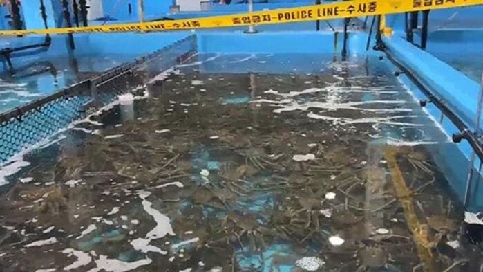냉동차 열었더니 '비밀 공간'…32억 원어치 빼돌렸다 