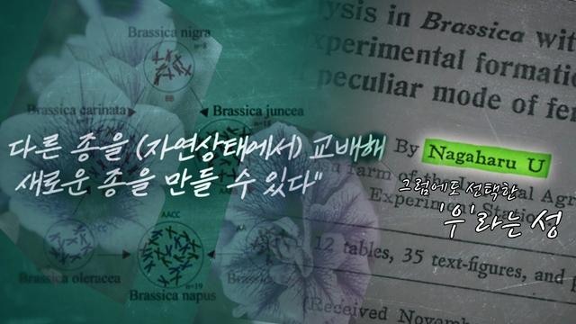 매국노가 낳은 아들