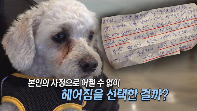 쪽지와 함께 남겨진 장군이