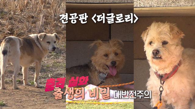 꼬물이들의 진짜 아빠는 누구인가?