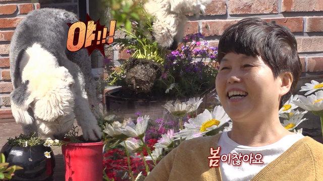 쉽독家 모녀전쟁의 결말은?!