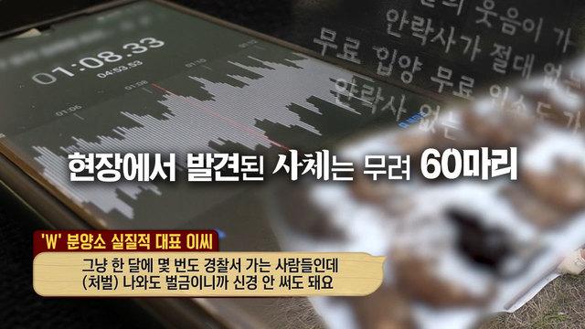 100여 마리 생매장 사체의 비밀은?